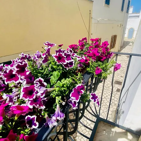 Daire Dimora Del Sole Luxury And Charm Otranto